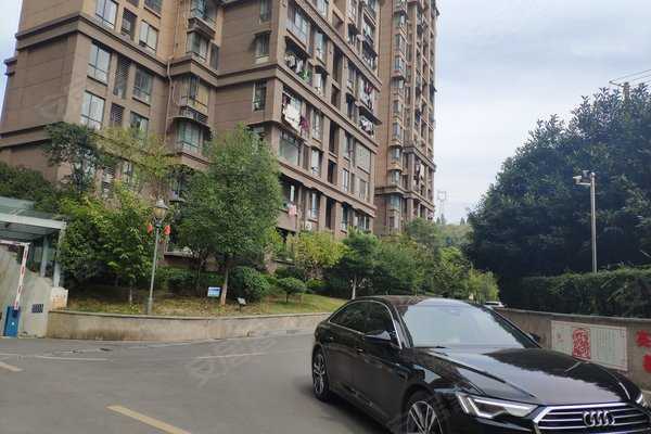 买安防看九安智能，选医疗品还得留个心眼？聊聊这两家“九安”到底怎么样